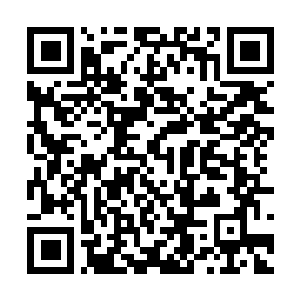Link naar je actie QRCode - Fondswerving