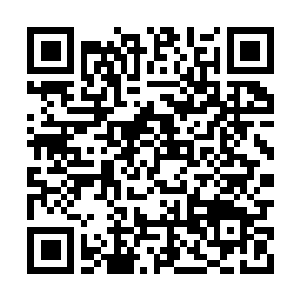 Link naar je actie QRCode - Fondswerving