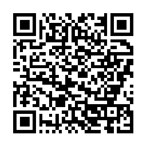 Link naar je actie QRCode - Fondswerving