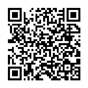 Link naar je actie QRCode - Fondswerving