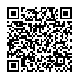 Link naar je actie QRCode - Fondswerving