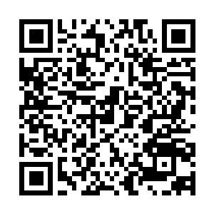 Link naar je actie QRCode - Fondswerving