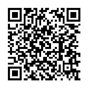 Link naar je actie QRCode - Fondswerving