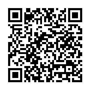 Link naar je actie QRCode - Fondswerving
