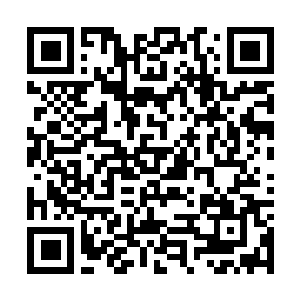 Link naar je actie QRCode - Fondswerving