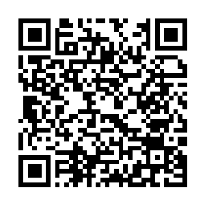 Link naar je actie QRCode - Fondswerving