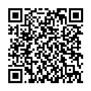 Link naar je actie QRCode - Fondswerving