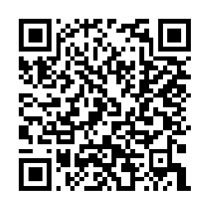 Link naar je actie QRCode - Fondswerving