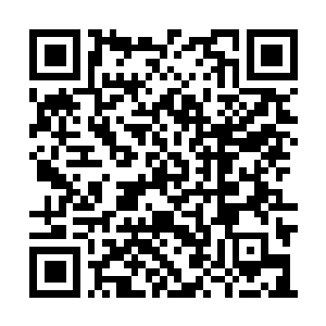 Link naar je actie QRCode - Fondswerving