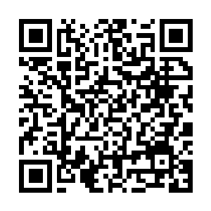 Link naar je actie QRCode - Fondswerving