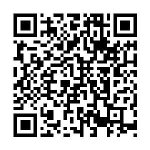 Link naar je actie QRCode - Fondswerving