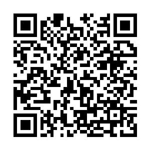 Link naar je actie QRCode - Fondswerving