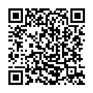 Link naar je actie QRCode - Fondswerving