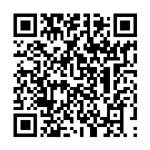 Link naar je actie QRCode - Fondswerving
