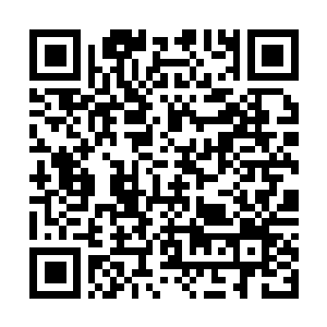 Link naar je actie QRCode - Fondswerving