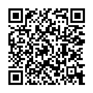 Link naar je actie QRCode - Fondswerving