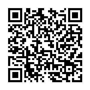 Link naar je actie QRCode - Fondswerving