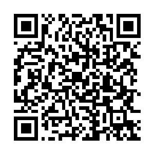 Link naar je actie QRCode - Fondswerving