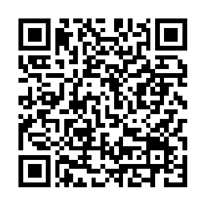 Link naar je actie QRCode - Fondswerving
