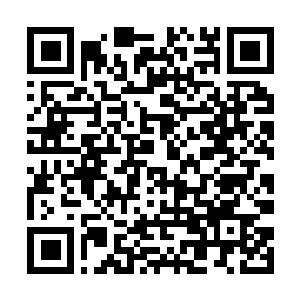 Link naar je actie QRCode - Fondswerving