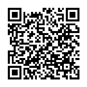 Link naar je actie QRCode - Fondswerving