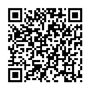 Link naar je actie QRCode - Fondswerving