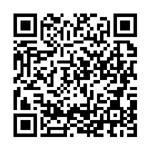 Link naar je actie QRCode - Fondswerving