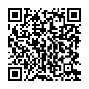 Link naar je actie QRCode - Fondswerving