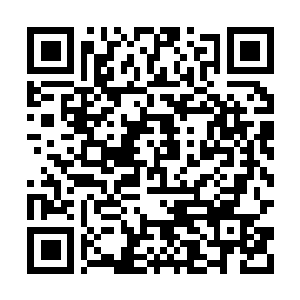 Link naar je actie QRCode - Fondswerving