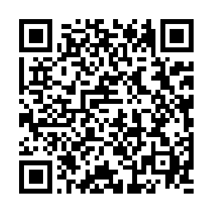 Link naar je actie QRCode - Fondswerving