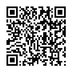 Link naar je actie QRCode - Fondswerving