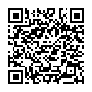 Link naar je actie QRCode - Fondswerving