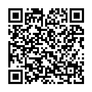 Link naar je actie QRCode - Fondswerving