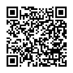Link to your fundraiser QRCode - Fundraising