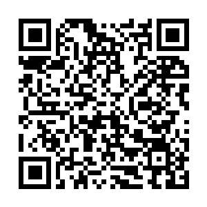 Link to your fundraiser QRCode - Fundraising