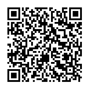 Link to your fundraiser QRCode - Fundraising