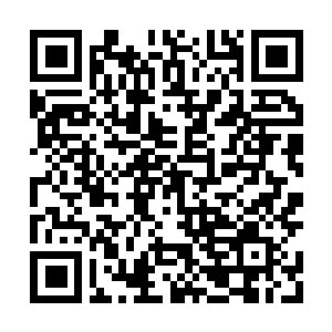 Link to your fundraiser QRCode - Fundraising