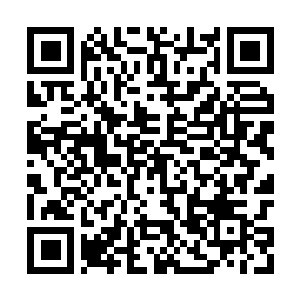Link to your fundraiser QRCode - Fundraising