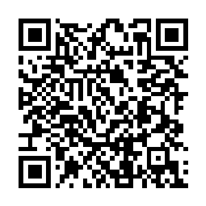 Link to your fundraiser QRCode - Fundraising