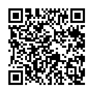 Link to your fundraiser QRCode - Fundraising