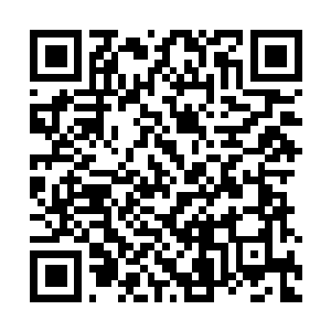 Link to your fundraiser QRCode - Fundraising