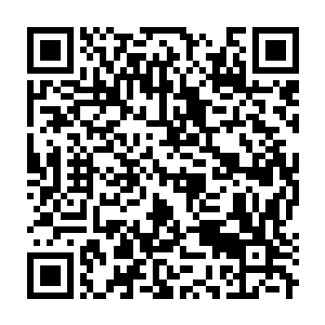 Link to your fundraiser QRCode - Fundraising