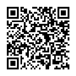 Link to your fundraiser QRCode - Fundraising