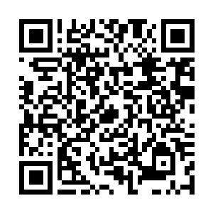 Link to your fundraiser QRCode - Fundraising