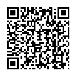 Link to your fundraiser QRCode - Fundraising