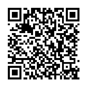 Link to your fundraiser QRCode - Fundraising