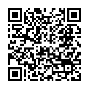 Link to your fundraiser QRCode - Fundraising