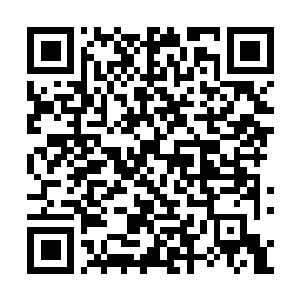 Link to your fundraiser QRCode - Fundraising