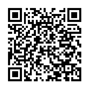 Link to your fundraiser QRCode - Fundraising