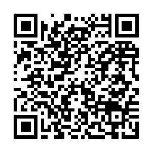 Link to your fundraiser QRCode - Fundraising